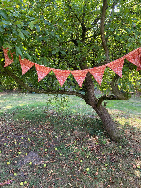 Bunting Razzle Dazzle