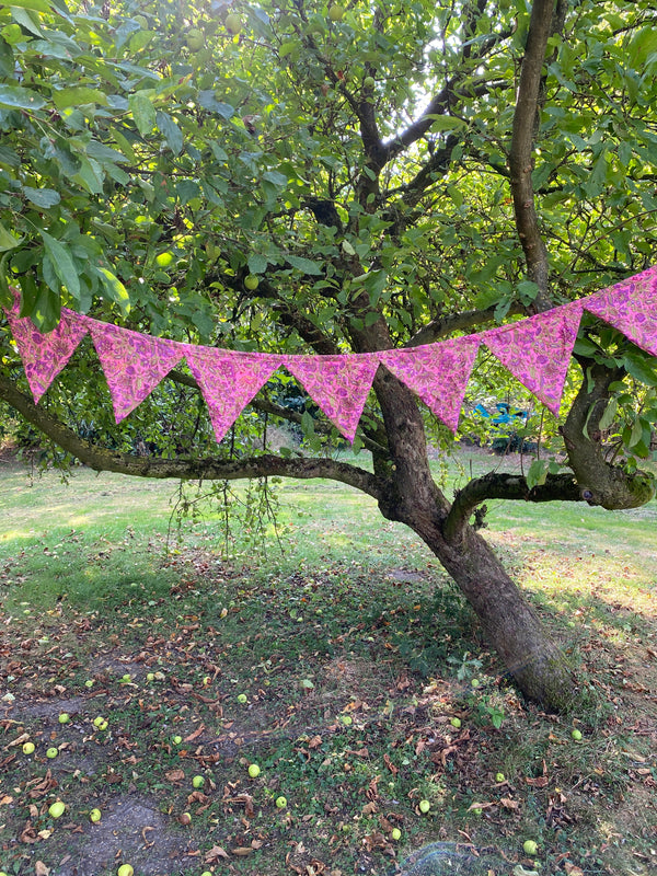 Bunting Fuchsia